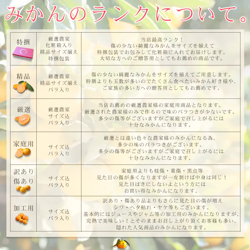 みかん　精品　吉田みかん　５ｋｇ　Ｓ吉０５　贈答用　精品　中玉　Ｌか２Ｌのいずれかのサイズ揃えで約３０玉前後　ミカン　蜜柑　フルーツ　果物　柑橘　贈答用　贈物　贈答　お歳暮　送料無料