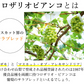 【9月上旬～中旬頃より順次出荷】ロザリオビアンコ ぶどう 送料無料 1kg 2～3房 〈クール便でお届け〉 福岡・熊本県産 マスカット 葡萄 ブドウ