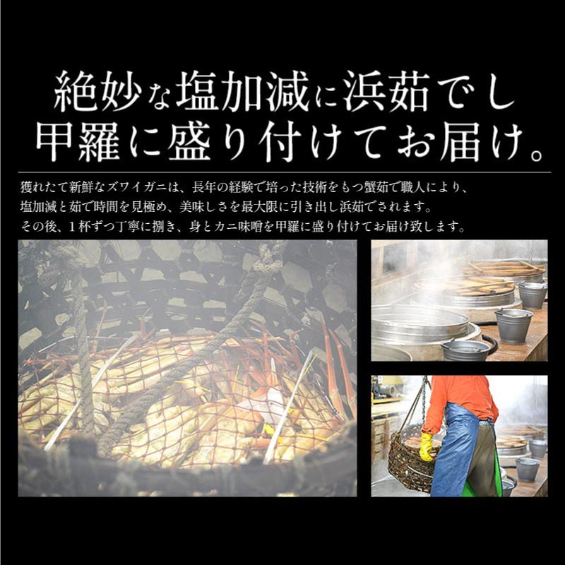 ズワイガニ 甲羅盛り 中サイズ×3個（甲羅横幅 約11cm）日本海産 ずわい蟹 海鮮 ずわい甲羅盛り ズワイ ずわい 高級グルメ 食品 食べ物 お中元 御中元