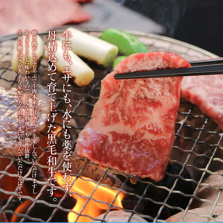 お歳暮 御歳暮  プレゼント ギフト 贈り物 焼肉用(やきにく/焼き肉焼き肉セット) ロース500ｇ 宮崎県産 黒毛和牛 EMO牛（有田牛） 冷凍食品 おかず お取り寄せグルメ  冷凍食品 ホルモン剤不使用 抗生物質不使用 遺伝子組換え飼料不使用 ホルモンフリー 高級 牛肉