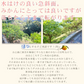 みかん　吉田みかん　５ｋｇ　ｆ吉０５　家庭用　M～2L　愛媛　吉田　果物　フルーツ　柑橘　ミカン　蜜柑　　訳あり　送料無料