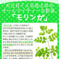 【大容量★約6ヶ月分】healthylife モリンガかぞく【乳酸菌 腸活乳酸菌 もち麦 腸活ダイエット 腸内細菌 腸内環境 腸内フローラ ポリフェノール 水溶性食物繊維 腸活ダイエット 野菜 スーパーベジタブル モリンガ末 乳酸菌 ラクトフェリン モリンガ おすすめ 人気 ランキング 効果 強力 最強 通販 日本製 国産 健康サプリ 健康食品