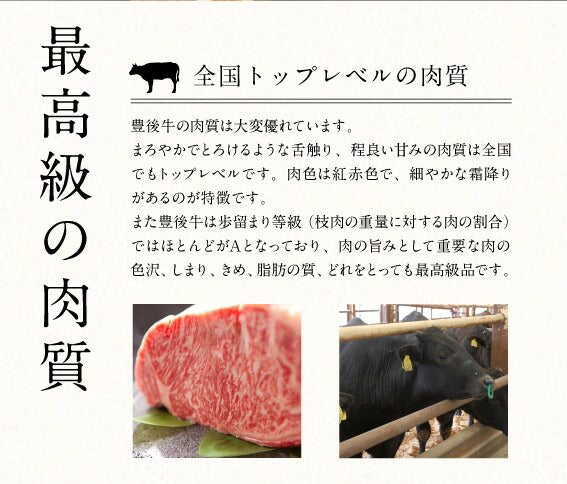 「豊後牛三角バラ焼肉用 500g」【送料込み】