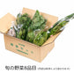 下郷農協の 旬の野菜8品目【送料込み】