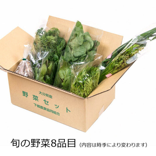 下郷農協の 旬の野菜8品目【送料込み】