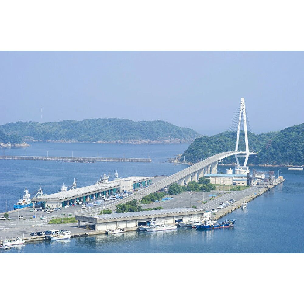 浜田港 ライフ セット （亀）【送料込み】