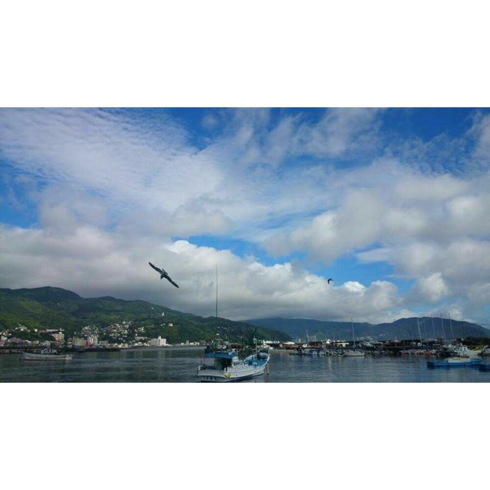 伊勢海老のパエリアミールキット【送料込み】【お届け不可地域：北海道・沖縄・離島】