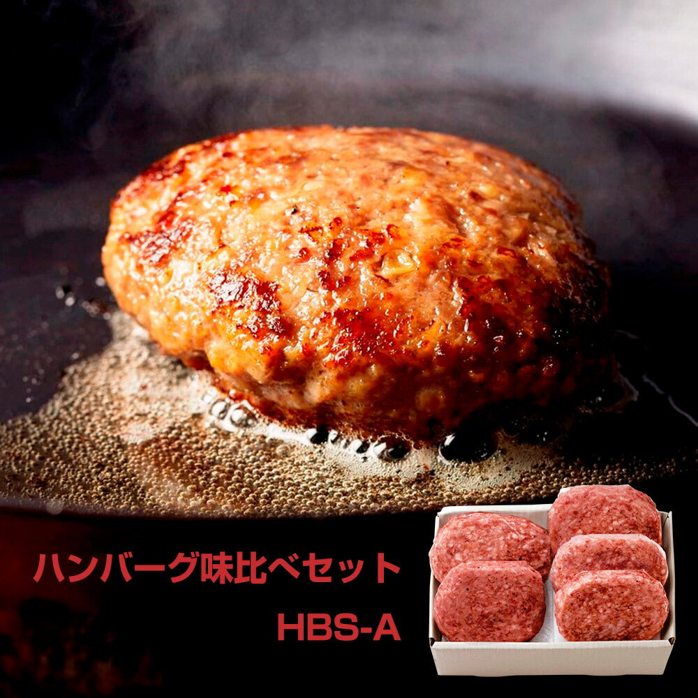 ハンバーグ味比べセット HBS-A 洋風惣菜 ハンバーグ【送料込み】【お届け不可地域：北海道・沖縄・離島】