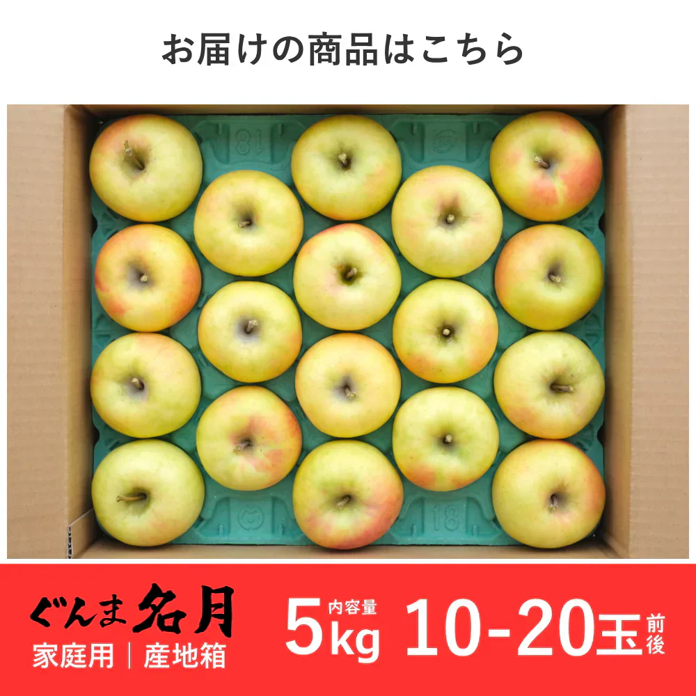 【11月上旬-中旬頃ご注文受付順次】ぐんま名月約5kg箱10-20玉前後 りんご、リンゴ、林檎ふじを超える希少な林檎