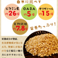 玄米 宮城県産 金のいぶき 20kg (5kg×4) 令和5年度産 お米 おくさま印 国産 食品 栄養 健康 ギフト 引っ越し 挨拶 出産 内祝い 母の日 父の日 お中元 お歳暮 結婚 快気 還暦 香典返し お年賀 送料無料