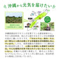 沖縄県産　モリンガ《約1ヶ月分》 モリンガ 粒 150粒 無農薬栽培 着色料 保存料 不使用