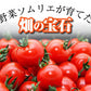 予約【１月前後から発送開始】お試し＼特別栽培農産物／ソムリエミニトマト　プラチナ　３９０ｇ