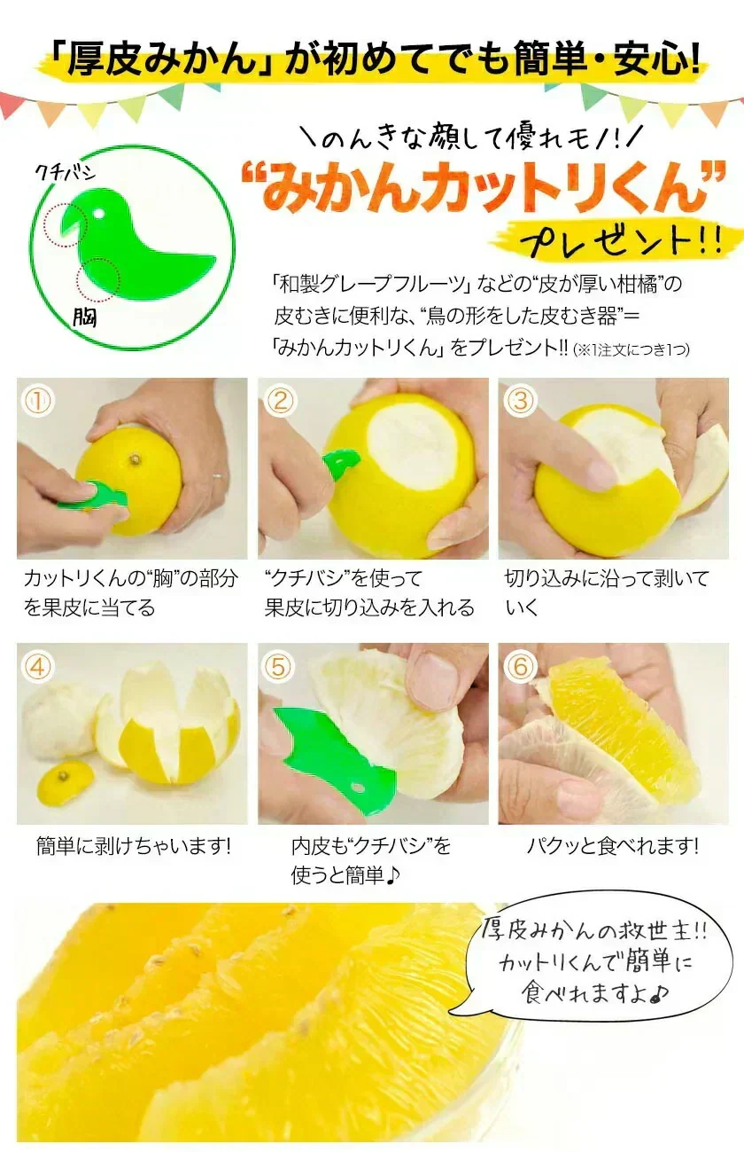 河内晩柑 5kg 送料無料 和製 グレープフルーツ フルーツ 果物 みかん 訳あり 夏文旦 晩柑 ジューシーみかん 熊本県産 《1-5営業日以内に発送予定》