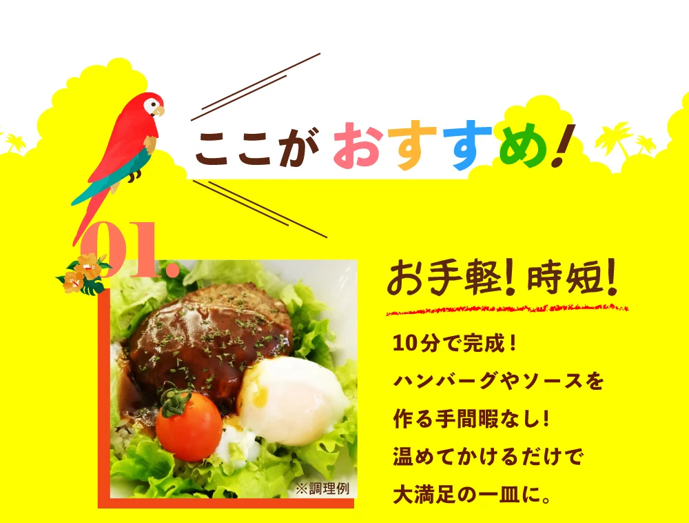 送料無料 ロコモコ丼の素 160g 送料無 送料無料 送料無料 非常食 保存食 防災食 長期保存 食品 お試し ギフト お取り寄せ グルメ レトルト
