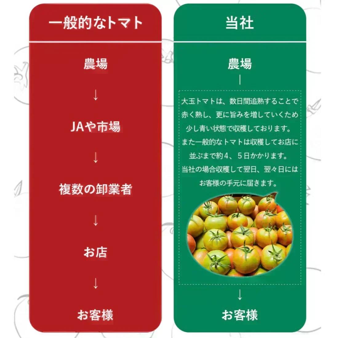 予約【2027年2月前後～4月30日までに順次発送】＼特別栽培農産物／訳ありソムリエトマト　600g（最低保証容量400g以上保証）【カウシェファーム収穫対象商品】