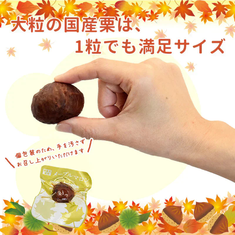 メープルマロン×1パック （5個入り×1パック）