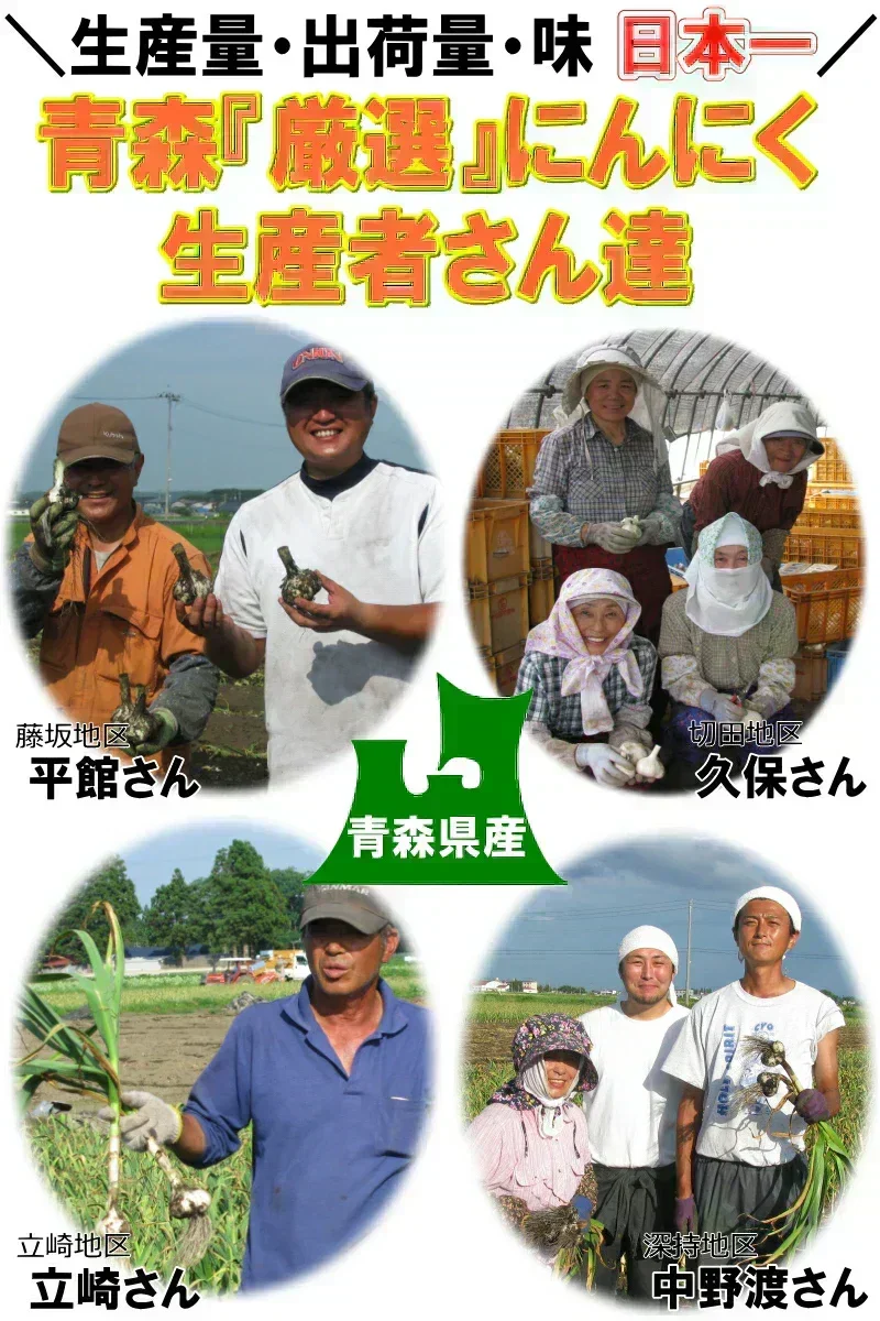 【新物】令和8年産 青森県産にんにく 1㎏ 訳あり C品 Mサイズ以上大玉混合 福地ホワイト六片種