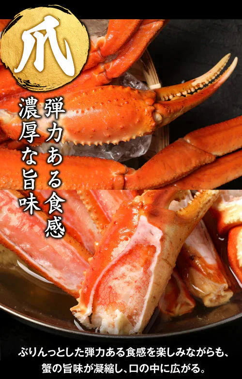 送料無料  ズワイ ずわい 蟹 かに カニ  ズワイガニ 4L 5L 約2kg(正味1.6kg、4肩〜6肩入)ロシア産・ノルウェー産