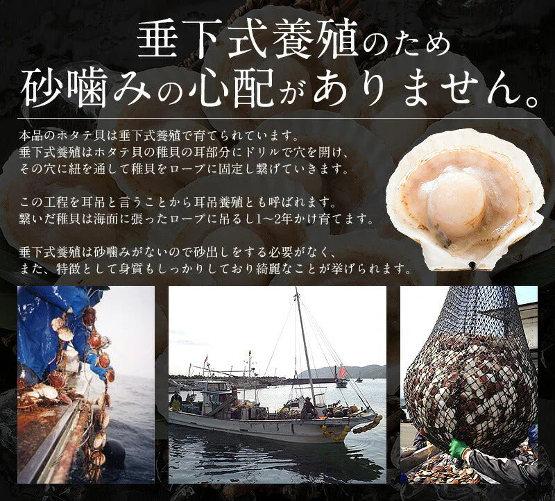 ホタテ ほたて 殻付き 30枚（10枚×3袋） 北海道産 片貝 帆立 冷凍ホタテ 海鮮 活ほたて 冷凍海鮮 貝 美味しい セット まとめ買い 大量 活ホタテ 海の幸 魚介類 海産物 贈り物 食べ物 グルメ 母の日 プレゼント ギフト  母の日思いの 健康 実用的 父の日 子供 孫