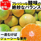 バレンシアオレンジ 和歌山産 1.５kg オレンジ みかん フルーツ 果物