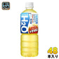 アサヒ スーパーH2O×ドデカミン 600ml ペットボトル 48本 (24本入×2 まとめ買い) スポーツ飲料 熱中症対策 H2O