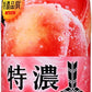 アサヒ 三ツ矢 特濃 ピーチスカッシュ 500ml ペットボトル 48本 (24本入×2 まとめ買い) 炭酸飲料 微炭酸 ピーチ 果実飲料