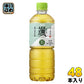 アサヒ 颯 600ml ペットボトル 48本 (24本入×2 まとめ買い) 緑茶 お茶 そう 微発酵茶葉