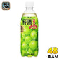 アサヒ 三ツ矢 特濃 マスカットスカッシュ 500ml ペットボトル 48本 (24本入×2 まとめ買い) 炭酸飲料 微炭酸