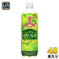 アサヒ 三ツ矢 こだわりぎゅっとメロンソーダ 570ml ペットボトル 48本 (24本入×2 まとめ買い) 炭酸飲料 メロン