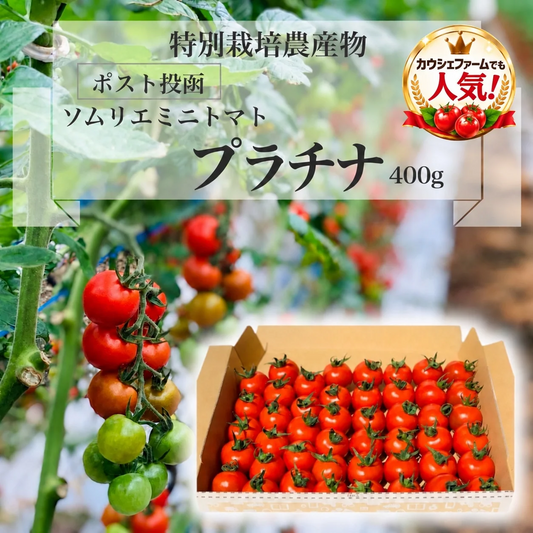 【予約】12月下旬から順次発送【特別栽培農産物】ソムリエミニトマト　プラチナ　４００ｇ（補償100g込み）※補償分以上の不良は交換対応可能