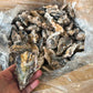 【生食OK】兵庫県産 殻付き牡蠣 冷凍 5kg 約100殻/冷凍クール便