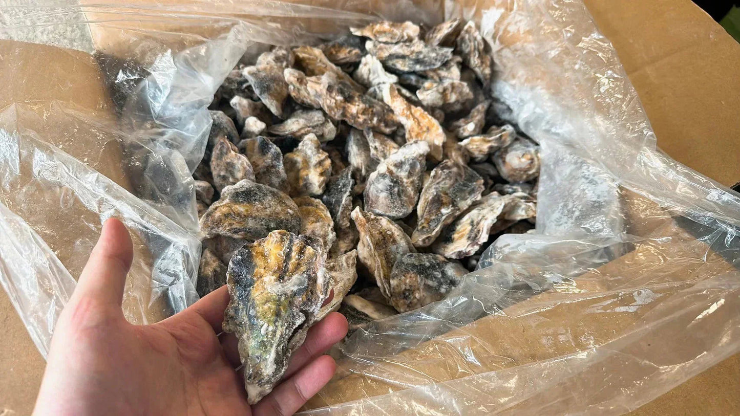 【生食OK】兵庫県産 殻付き牡蠣 冷凍 5kg 約100殻/冷凍クール便