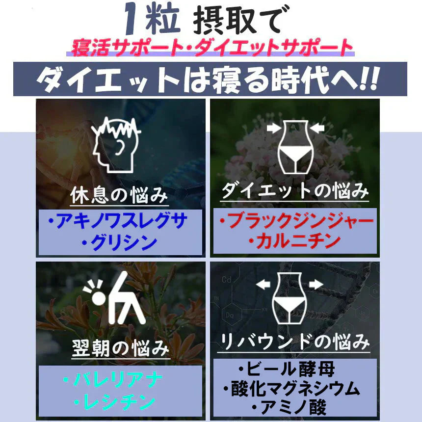 【NEW速戦即決 ナイト】リニューアル版 寝る前 専用 ダイエットサプリ ナイト ダイエット サプリメント 睡眠 スリム 寝ながら 燃焼 ダイエットサポート 激やせ 短期 減量 快眠 スッキリ 寝るだけ ダイエット カルニチン ブラックジンジャー グリシン アミノ酸 BCAA 日本製 夜 おすすめ 人気 ランキング 効果 強力 最強 バレリアナ ビール酵母 マグネシウム レシチン カルシュウム 休眠 休息 リラックス ストレス サポート 健康 オススメ ランキング