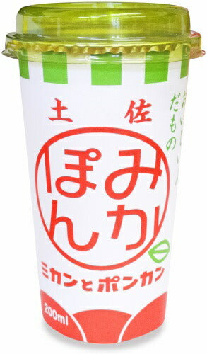 高知アイス みかぽん 200ml カップ 24本 (12本入×2 まとめ買い) 果汁飲料