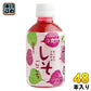 さめうらフーズ すっきりさわやか しそごこち 280ml ペットボトル 48本 (24本入×2 まとめ買い) しそドリンク しそジュース 紫蘇ジュース