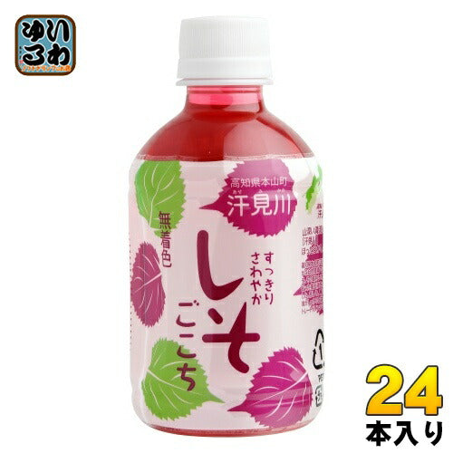 さめうらフーズ すっきりさわやか しそごこち 280ml ペットボトル 24本入 しそドリンク しそジュース 紫蘇ジュース