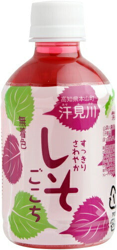 さめうらフーズ すっきりさわやか しそごこち 280ml ペットボトル 48本 (24本入×2 まとめ買い) しそドリンク しそジュース 紫蘇ジュース