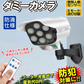 ダミーカメラ ソーラー 防雨 屋外用 LED ソーラーライトダミーカメラ１個 防犯カメラ 玄関 人感センサー センサーライト 監視 防犯 防犯対策 防犯カメラ【発送時期は商品説明参照】
