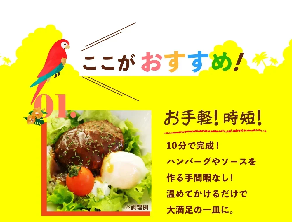 ロコモコ丼の素 4食分 送料無料 食品 お試し ギフト お取り寄せ グルメ レトルト