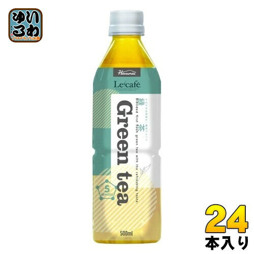 ハルナプロデュース ルカフェ 緑茶 500ml ペットボトル 24本入 お茶 GREEN TEA Lecafe
