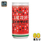 山形食品 山形尾花沢スイカサイダー 200ml 缶 60本 (30本入×2 まとめ買い)