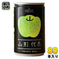 山形食品 山形代表 青りんご 160g 缶 80本 (20本入×4 まとめ買い) 果実飲料 100％ジュース