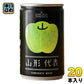 山形食品 山形代表 青りんご 160g 缶 20本入 果実飲料 100％ジュース