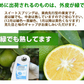スイートスプリング 訳あり 10kg 箱込（内容量9kg＋補償分500g) みかん 送料無料 訳あり 熊本県産 爽やかな甘さと香り 蜜柑 温州みかん 八朔 お取り寄せ フルーツ