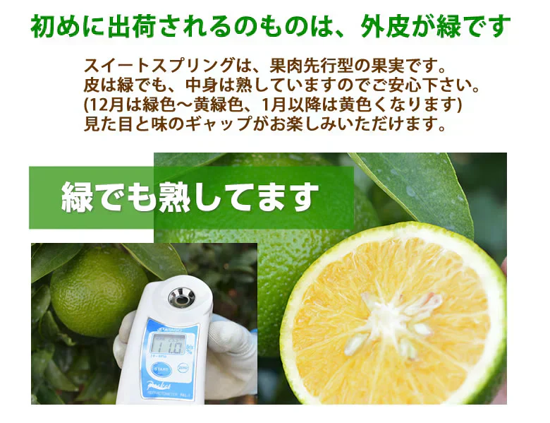 スイートスプリング 訳あり 10kg 箱込（内容量9kg＋補償分500g) みかん 送料無料 訳あり 熊本県産 爽やかな甘さと香り 蜜柑 温州みかん 八朔 お取り寄せ フルーツ
