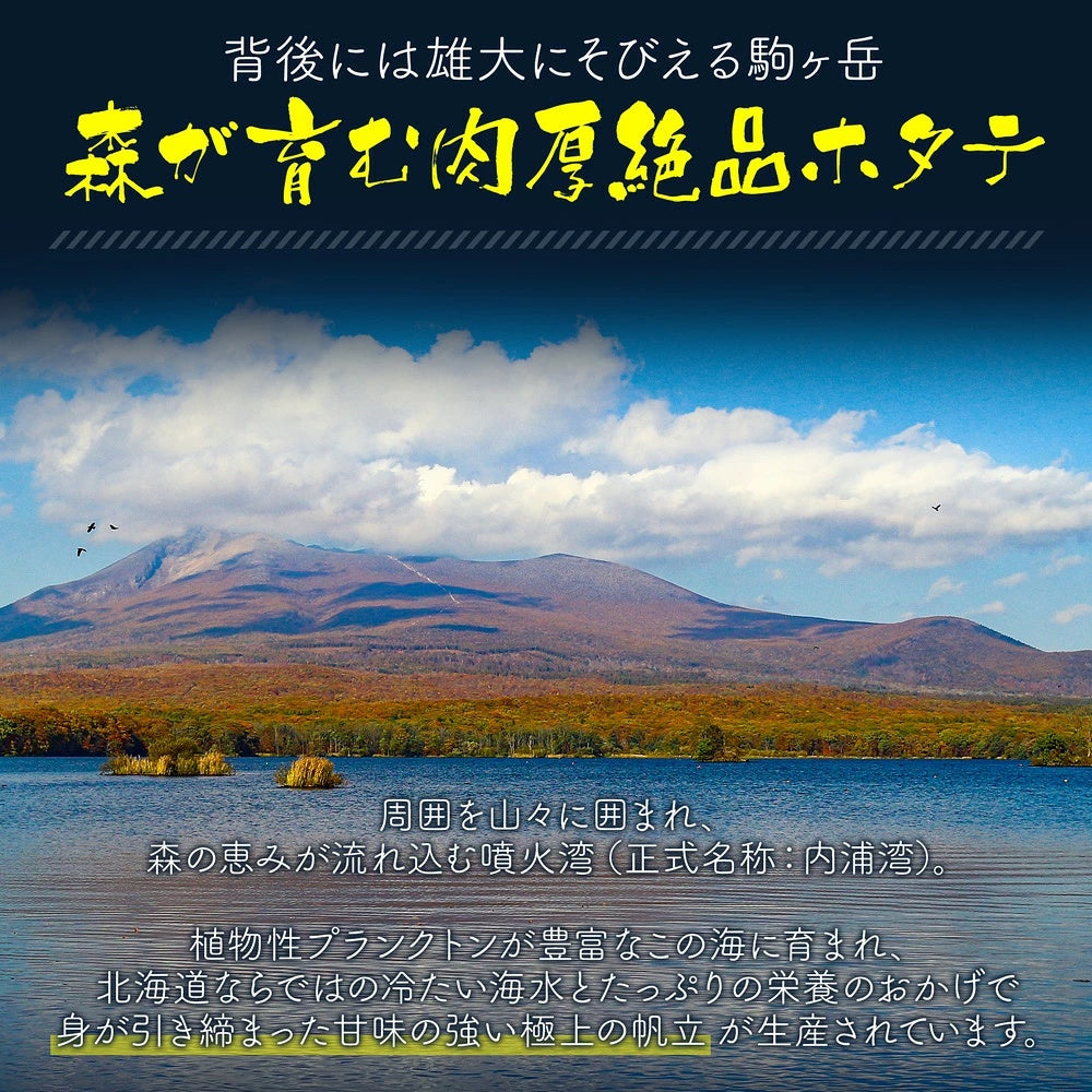 北海道噴火湾産 特大蒸しホタテ 約1kg［NET800g］ 特大2Lサイズ16～20個入 生食可 ボイルほたて ボイルホタテ ボイル帆立