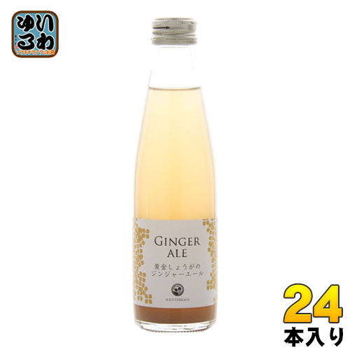 スタジオオカムラ 黄金しょうがのジンジャーエール 195ml 瓶 24本入 ジンジャエール タンサン 炭酸飲料 〔炭酸飲料〕