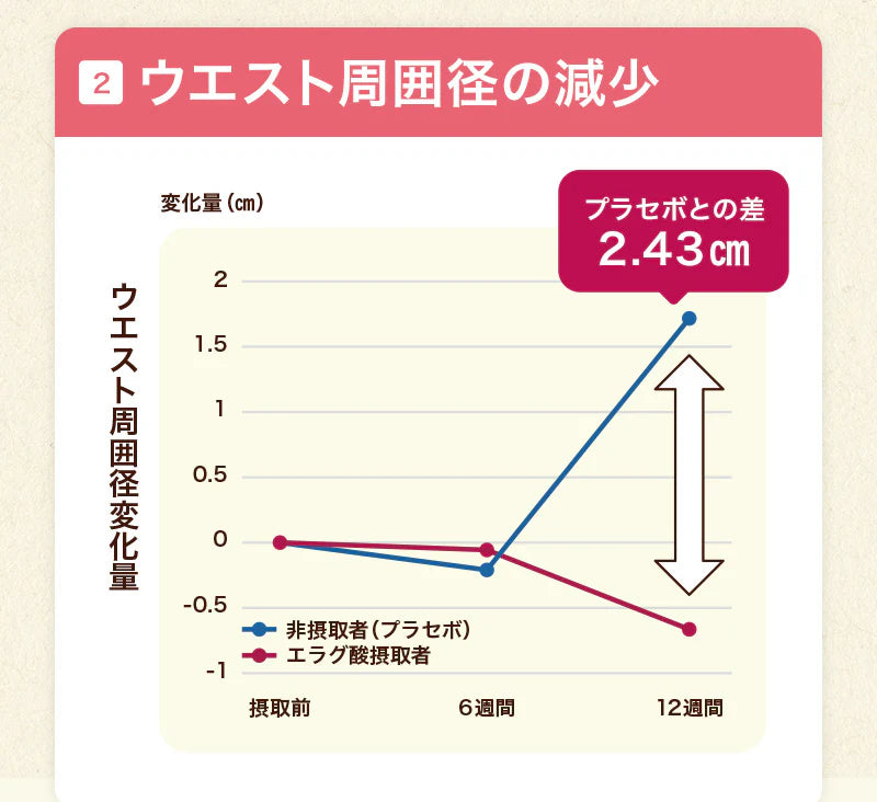 【最短当日出荷】機能性表示食品 プーアール茶 ヘルシーボ 30個入 ( 肥満気味の方 体重 ウエスト 体脂肪 血中中性脂肪 BMI 内臓脂肪 サポート エラグ酸 ザクロ エキス ダイエット サポート ダイエット茶 健康茶 ティーバッグ ティーライフ )