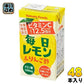 ヤマトフーズ 毎日レモン＆りんご酢 125ml 紙パック 48本 (24本入×2 まとめ買い) 〔酢飲料〕