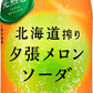 ポッカサッポロ 北海道搾り 夕張メロンソーダ 500ml ペットボトル 48本 (24本入×2 まとめ買い) 炭酸飲料 北海道 メロンソーダ